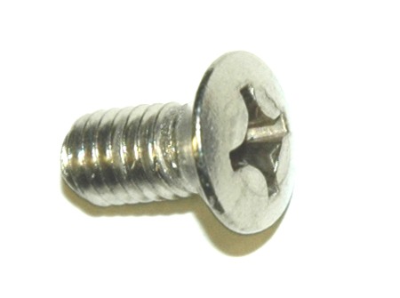 STAINLESS STEEL SCREW, M6 X 10  for VW Thing