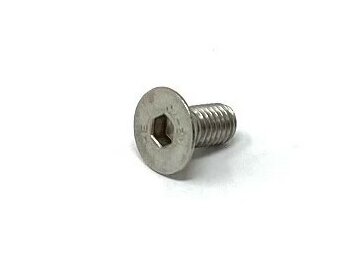 Screw For Striker Plate  for VW Thing